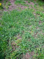 DSC_1419.webp DSC_1419.webp