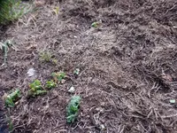 DSC_1423.webp DSC_1423.webp