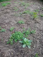 DSC_1417.webp DSC_1417.webp