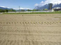 IMG_20190501_111352.webp