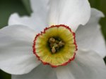 image002.jpg