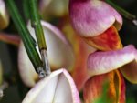 image006.jpg