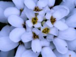 image008.jpg