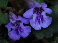 image014.jpg