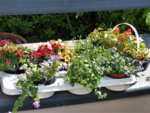 image015.jpg