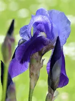 image016.jpg