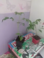 20190503_115935.webp