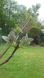 20190502_130222.webp