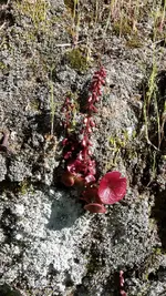 20190427_165357.webp