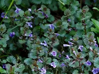 image003.webp