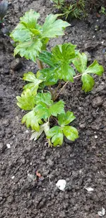 20190504_154344.jpg