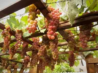 20180801_190046.webp