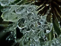IMG_3122 v (2).webp