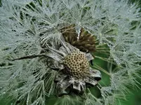 IMG_3129 v (2).webp