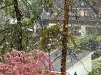 image003.webp