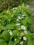 20190505_174745.jpg