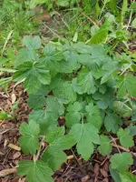 20190505_174632.jpg