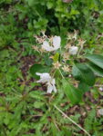 20190505_174707.jpg