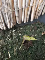 20190505_175044.webp