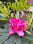 20190505_174727.jpg