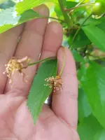 20190505_174541.webp