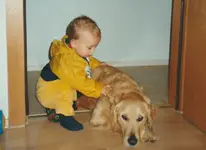 Barnie_neu.webp