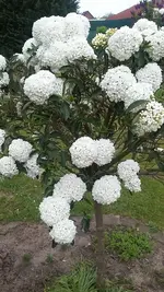 20190502_130043.webp