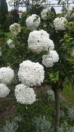 20190502_130014.jpg