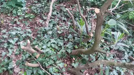20190502_130353.webp