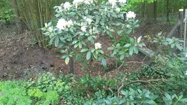 20190502_130334.webp