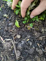 IMG_20190501_092208.webp