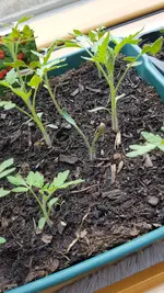 20190507_172329.webp