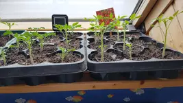 20190507_172341.webp