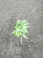 IMG_20190506_173407.webp