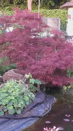 20190507_201806.webp