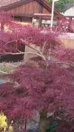 20190507_201825.webp