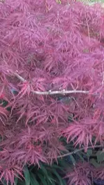 20190507_201834.webp