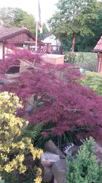20190507_201840.webp