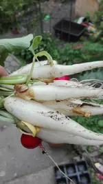 IMG_20190503_171107.webp