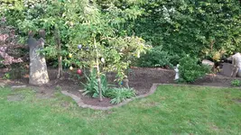 20190507_192704.jpg