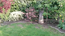 20190507_192711.jpg