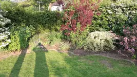 20190507_192715.webp