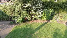 20190507_192722.webp
