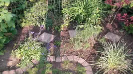 20190507_192733.jpg