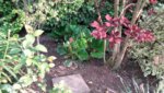 20190507_192746.jpg