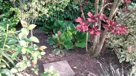20190507_192746.webp