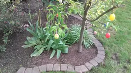 20190507_192754.webp