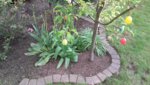 20190507_192754.jpg