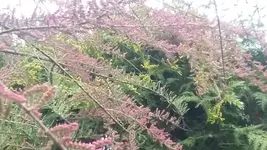 20190507_130920.webp