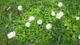 20190507_130837.jpg
